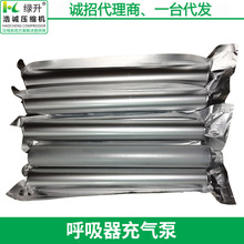 消防呼吸器充气泵 现货活塞式压缩机 活性炭分子筛一次性过滤芯
