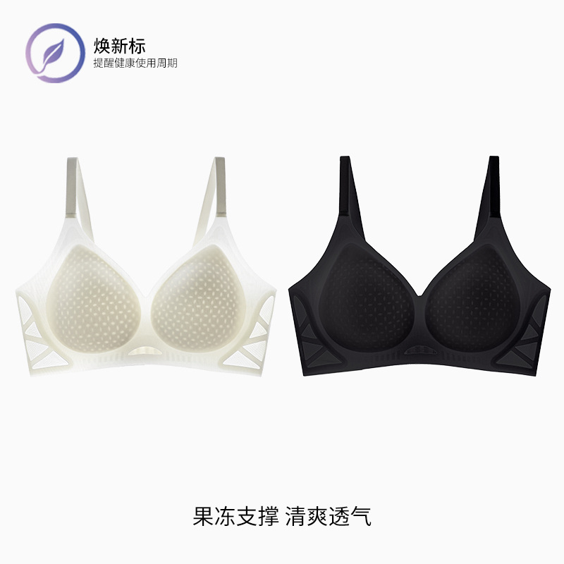 샴페인 화이트 기질 블랙