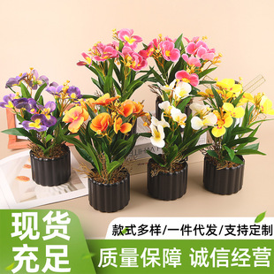 ���溣�Ļ������������ϼٻ��������ǰ̨�b��߷��滨�}�Q�b�