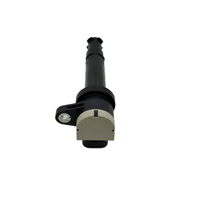 Alovlanma bobini (Babinalar) Renault car ignition