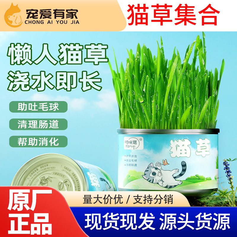 Canned Cat Grass, Lazy Cat Grass Planting Set, Cat Snacks, Hair Balls, Cat Green Plants, Pet Supplies Wholesale
