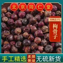 热卖枸骨子枸骨子野生十大功劳籽功劳子枸骨子猫儿刺真货好货