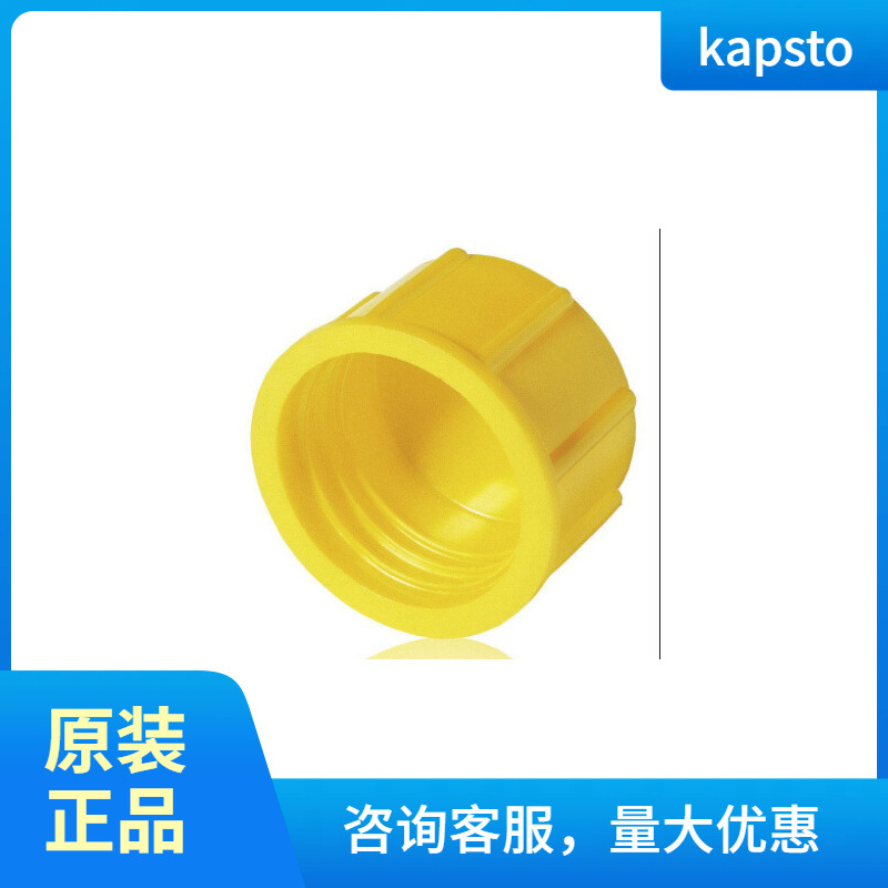 KAPSTO德国原装GPN系列堵头 GPN 800 M 14 x 1.5