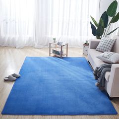 客廳臥室珊瑚絨地毯地墊門口進門門墊浴室衛生間廚房吸水腳墊