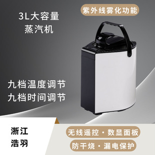 Aditt Household Single Digital Sauna Box Steam Stove Large Capacity Three Liters Factory Direct Fumigation Machine