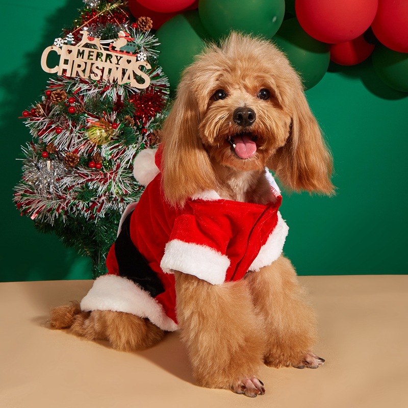 Lindo Poliéster Navidad Papá Noel Ropa Para Mascotas display picture 3