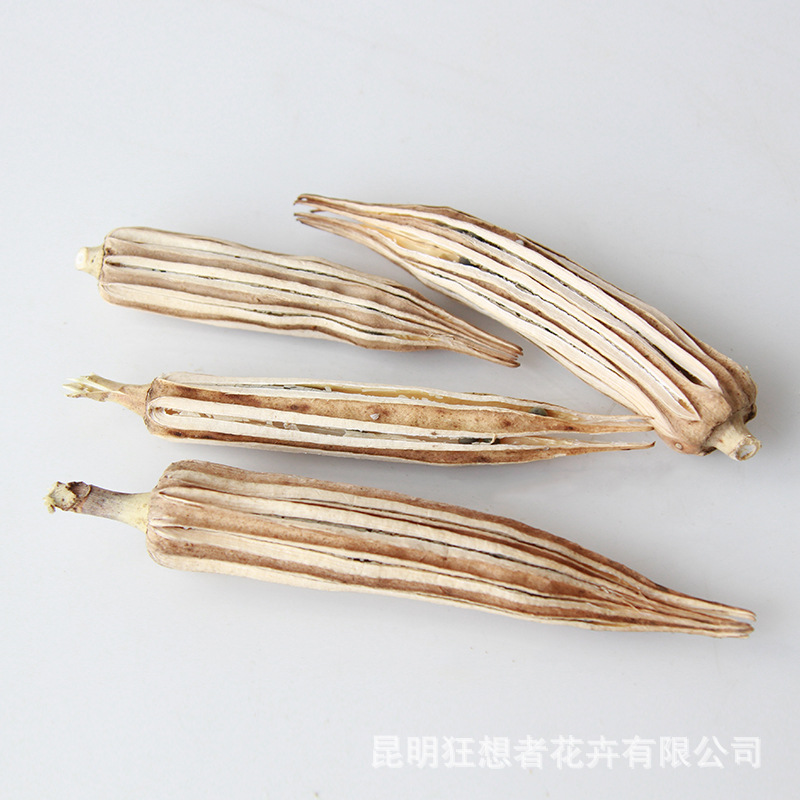 Đầu hoa đậu bắp (5 cái trong một túi)