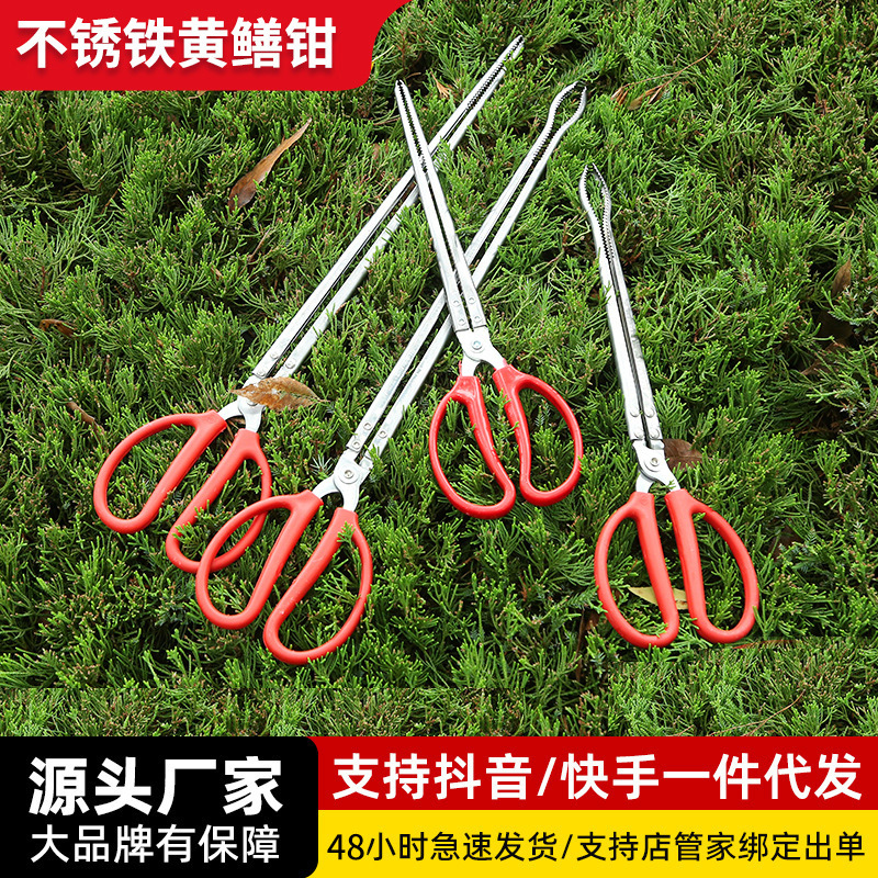 Fabricante de alicates de Anguila de acero inoxidable en stock clip de Anguila alargada clip de cangrejo de Loach multiusos Herramienta de conducción de mar artefacto