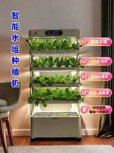 ���ܟo�������O��ˮ��ˮ���߲˷Nֲ�Cͥ�҃�ֲ�﹤�S���w�N�˼�