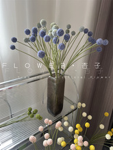 ���W7�^�S������滨С����������������ƹ�����Y�zӰ�Ҿ��b�