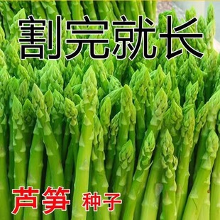 �J�S�N���ļ��Nֲ�߲�֮���M�ھG�J�S�N�ѿ����ͺ��ߠI�B�߲˷N��