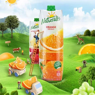 Сок апельсиновый Молдова 1 л × 12 шт