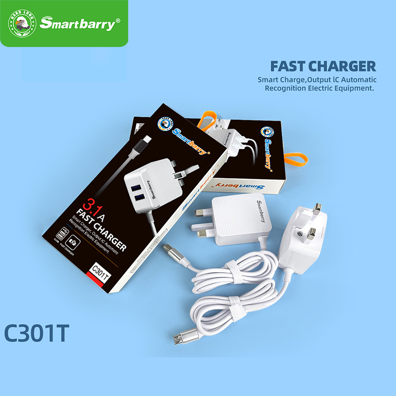 smartbarry英规C301充电头充电线套餐 适用于苹果安卓typec非洲