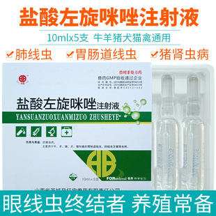 �Fș�F���}�����������ע��Һţ��xșȮ؈�����۾��x����Һ����