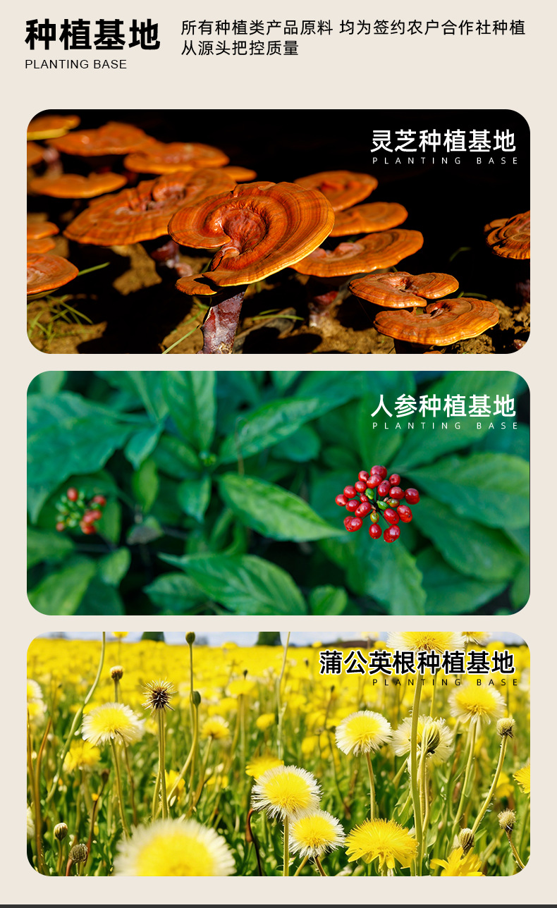Red Reishi Mushroom Spore Powder Bulk Ling Zhi Zhi Gan Cao 100g Authentic Changbai Mountain Spore Oil Herbal Powder specifications