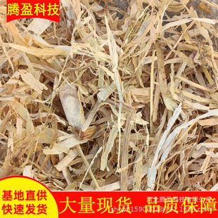 �L�ڹ��������׽ն� ţ���R�m���Ժ� �����z����
