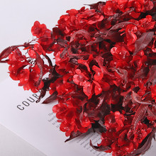 ����ӭ�Ͷ��������������ɻ���c�Ҿ��b[���������b������l