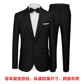 男式西服套装