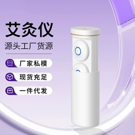 电子美容仪;头皮上药器;洁牙仪