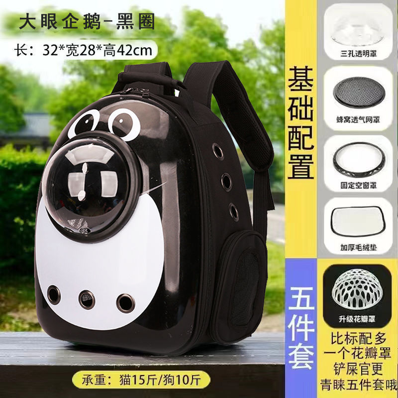 큰 눈의 펭귄 [검은색 원]