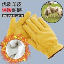 ��Ƥ�ڱ��廡�����׸�����C���������͸ߜ�늺����׏S�ҬF؛���l