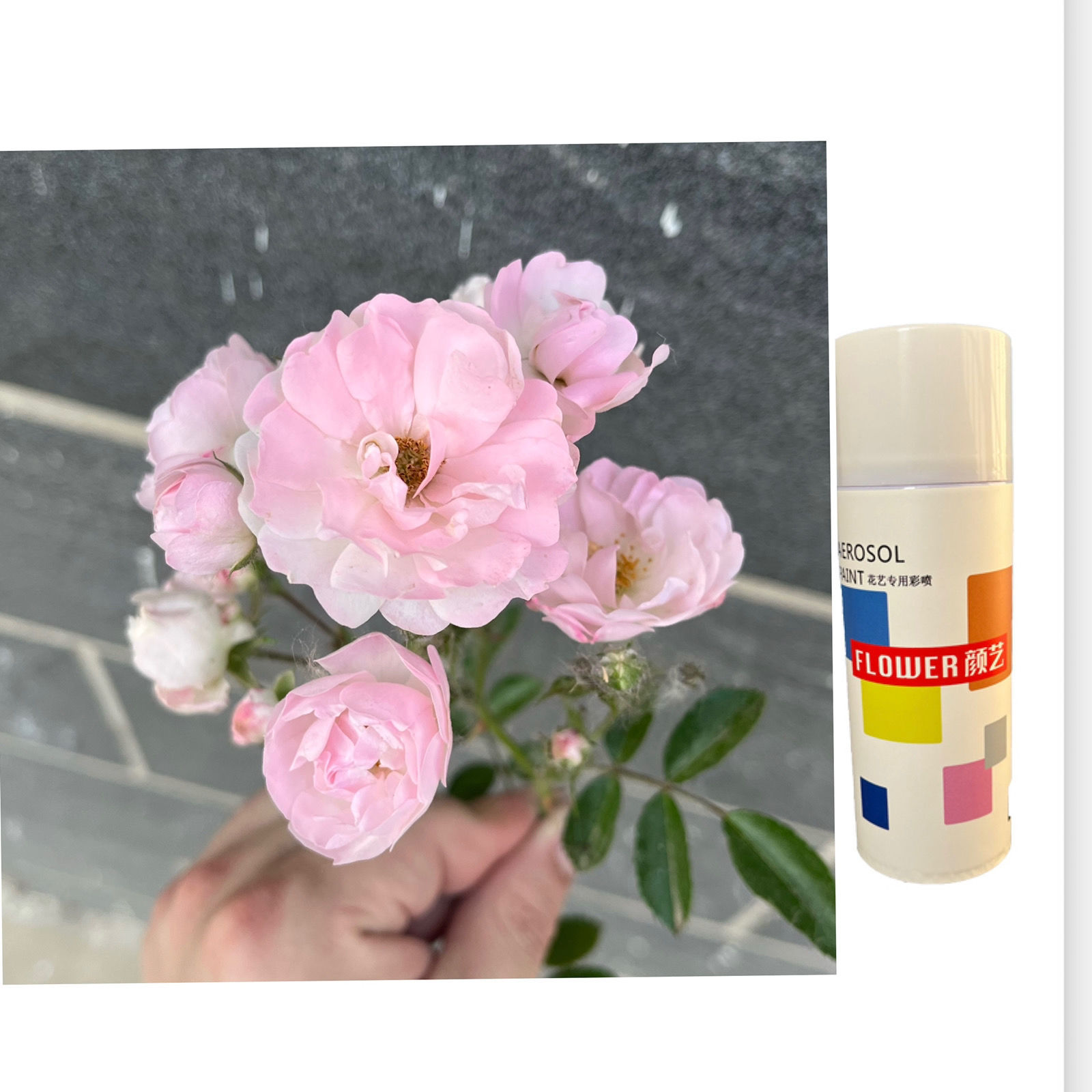 향기로운 꽃가루