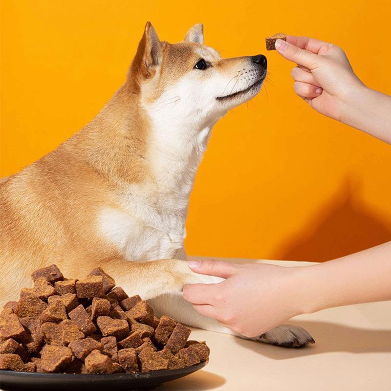 Perro dulce carne tierna, bocadillos, perros pequeños y medianos, palo de mordida, pelo dorado, peluche de pelo dorado, perros grandes, alimentos de recompensa.