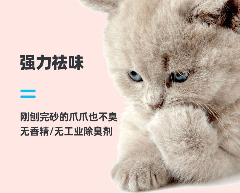 8fef710a-7fd8-421f-af37-b2ab42cf1344.jpe