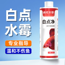 疯狂水草非鱼药白点净鱼病专用鱼身用锦鲤金鱼小瓜虫水霉黄粉万能