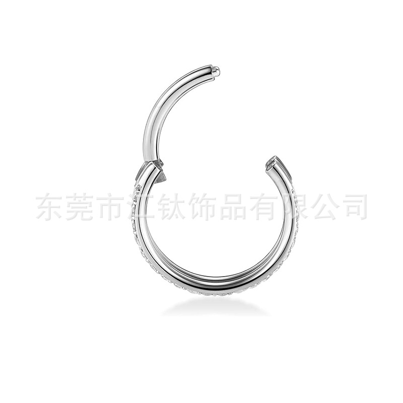 G23 Titanium Nose Ring Double Inlaid Zircon Implant Grade Piercing Closed Earrings F136 detail image 10