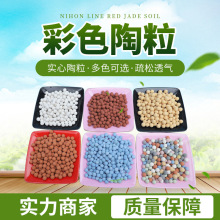 多肉装饰铺面营养介质 负离子 无土植栽 彩色陶粒球多色水培花卉