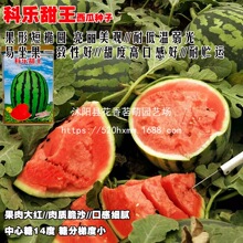 �Ƙ��紺�t�����ϷN���ձ����M�ڸк�����߮a������Ʒ�ԼѴ��ﲥ