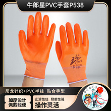 �S��؛Դţ����PVC��������P538���z�i߅���z���z���� ���ط��o��