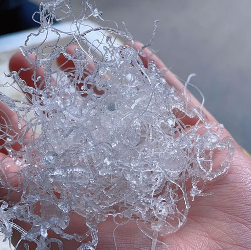 Yunnan Reticulated Snow Bird 1kg Authentic Reticulated Snow Bird Special Grade No Impurities Plant Bird's Nest Reticulated Snow Bird Wholesale