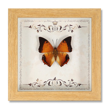 ������˱���� ľ�|�b�DIY�͹����[̨�Ҿ��b����նY��YƷ