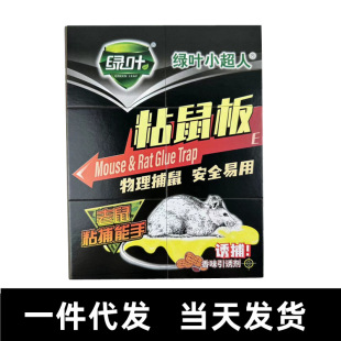 Green Leaf Mouse-Killing Artifact, Mouse-Catching Sticky Board, Strong Glue, Big Mouse Sticker, Genuine Enlarged and Thickeneded Household Bait