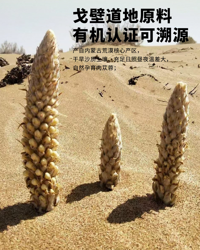 Organic American Ginseng Pure Liquid Extract Xi Yang Shen Ready-to-Drink Concentrated Juice 30ml x 7 Sachets in use