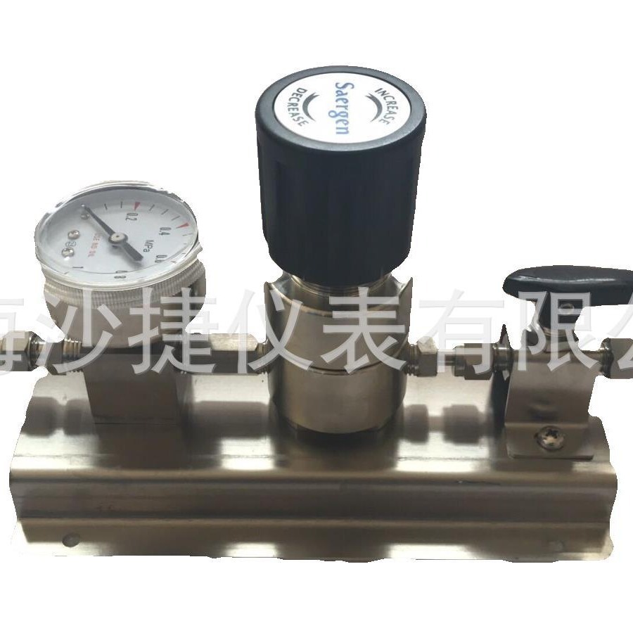 Saergen品牌二级面板减压阀实验室管道终端二级面板减压器二级阀