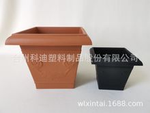 QSֱNKD4951ϻ̨NͥԺNֲ