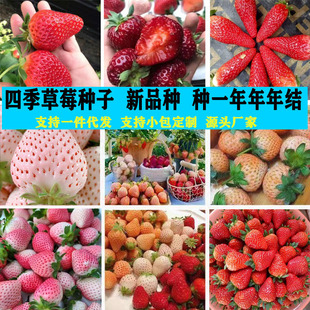 �ļ���ݮ�N���׻��ݮ��ֲ��ͥԺ�̨�����҃��⻨�ܷN������