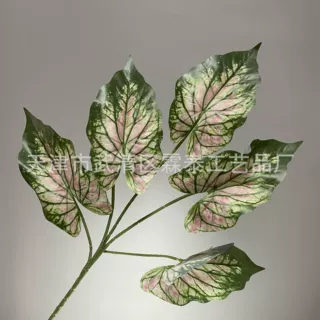 5叉大海芋叶仿真绿植绿叶植物墙造景软装橱窗工程装饰婚礼白网叶