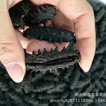 ���B������l�����ٰl����500g���󺣅���؛���l���ɺ����Y���b