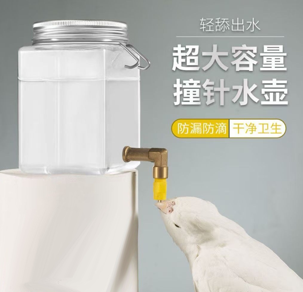 41d6106da766249a424305307667d3