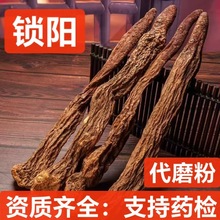 i șl ؛ iƬ iꖸɃos ֧șz нӆ