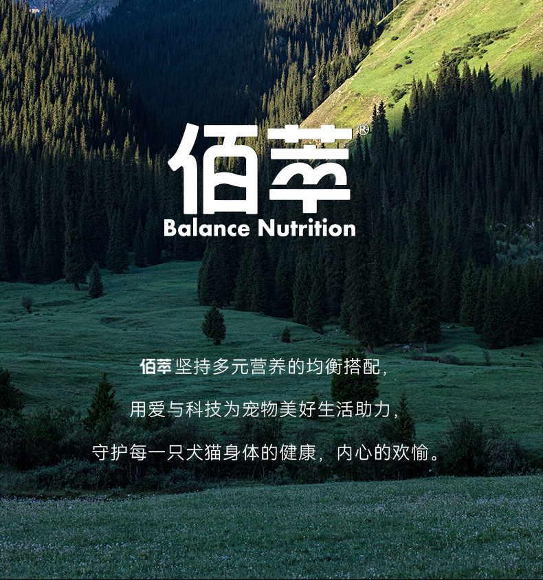 鯷鱼_14