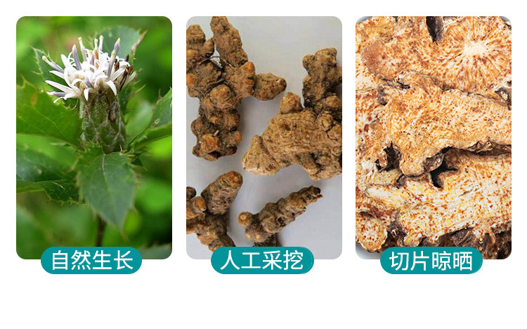 Stir-Fried Atractylodes Rhizome Cang Zhu 250g Dried TCM Herb for Decoction and Tea key features