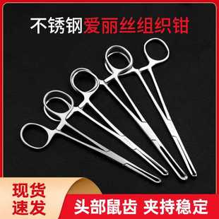 �t�ýM���Q���������z�Q�M�y�A�֋D�ƌm�����X�Q����������g��е