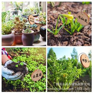 ľ�Ƙ��ƒ��hֲ��˺����ܘ˺��@ˇ�˺���ز��P䓒��ƈAľƬ����