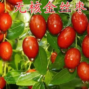 �o�˽�zС�������ϱ����Nֲ�޽��𗗘����ͥԺ���Ե��Ԯ���Y��