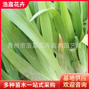 ˮ���Sβ���� ���ݾG��ˮ���Sβ�޸����ܳ��Gˮ��ֲ���S��������